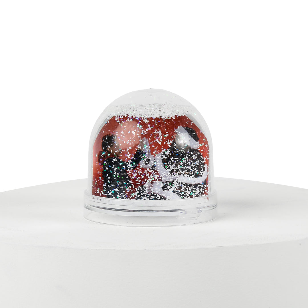Photo Globes and Prints