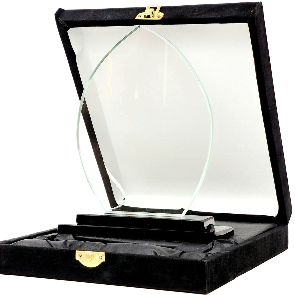 Glass award in a black display case on a white background