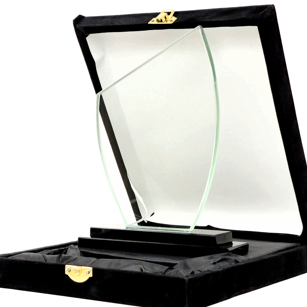 Glass award in a black display case on a white background