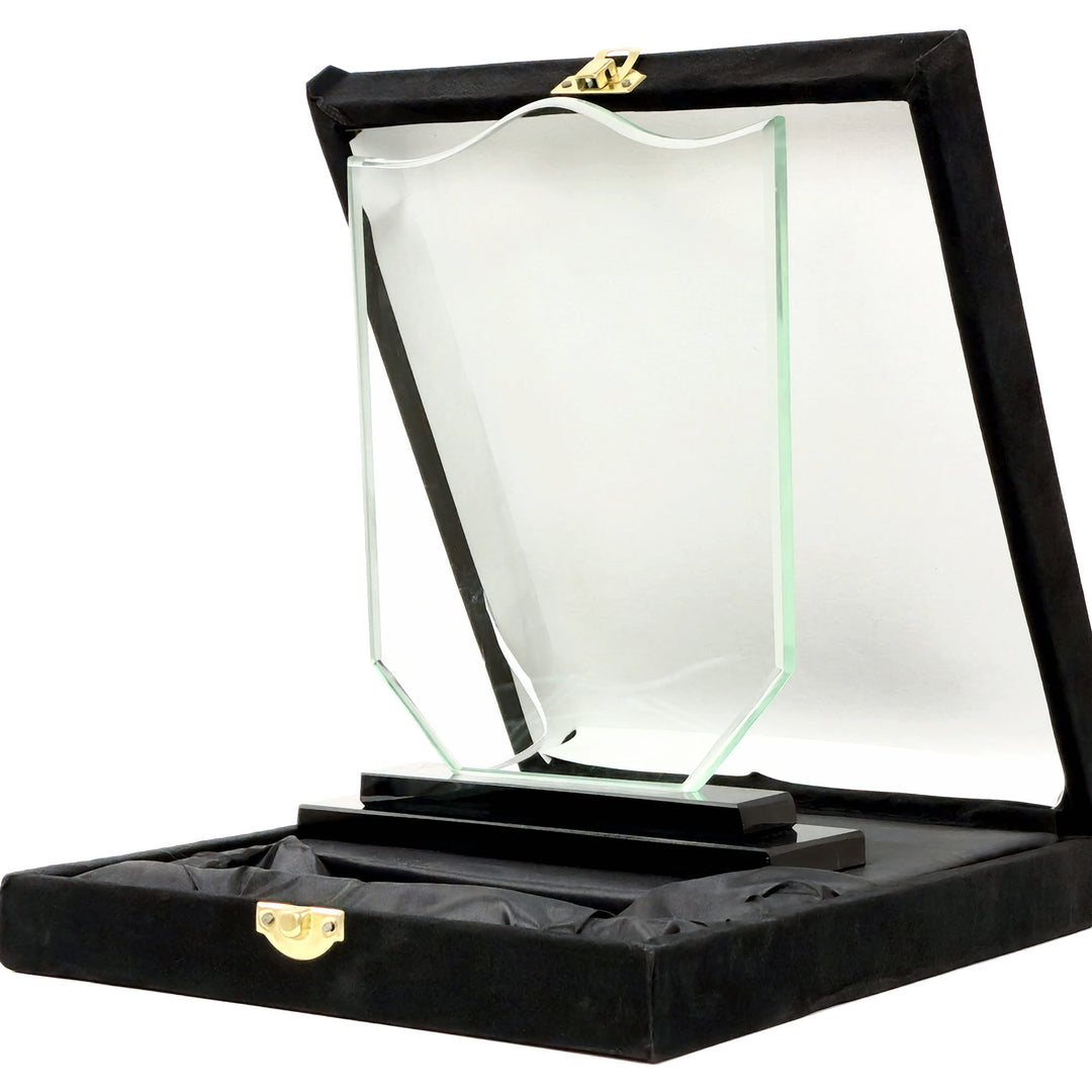 Glass award in a black display case on a white background