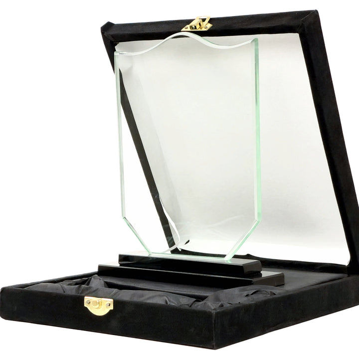 Glass award in a black display case on a white background