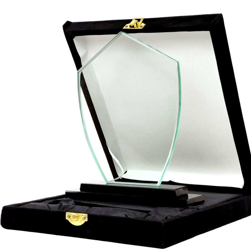 Glass award in a black display case with gold accents on a white background